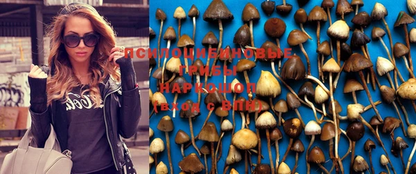 бошки Белокуриха