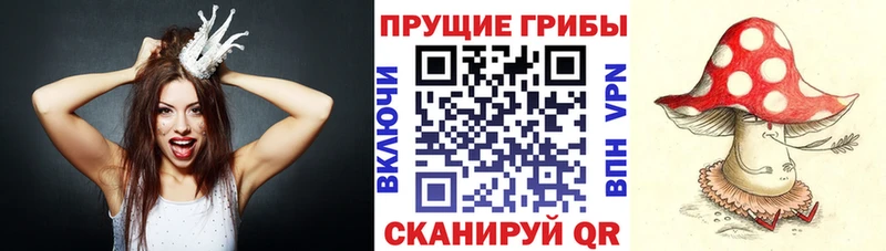 купить Улан-Удэ Галлюциногенные грибы Psilocybe